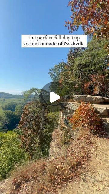 Narrows Of The Harpeth, Nashville Eats, Day In Nashville, British Farm, Baked Pastries, The Narrows, Tennessee Travel, Tennessee Vacation, The Greenhouse