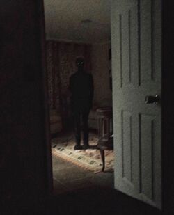 Creepy Aesthetic, Images Terrifiantes, Scary Images, Scary Photos, Shadow People, Creepy Core, Horror Aesthetic, Creepy Photos, Creepy Images