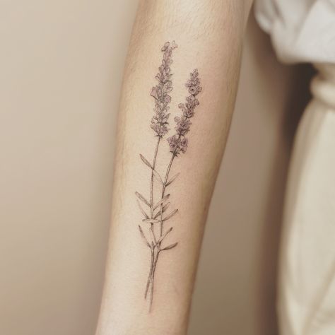 Botanical Lavender Tattoo, Wild Lavender Tattoo, Lavender Stalk Tattoo, Bouquet Of Lavender Tattoo, Fine Line Lupine Tattoo, Black And Grey Lavender Tattoo, Lavender Flowers Tattoo, Realistic Lavender Tattoo, Fineline Lavender Tattoo