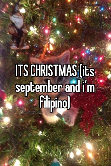 yes, we do play christmas songs already in september, ber months core 😍😍 love being filipino Filipino Songs, Filipino Christmas, Ber Months, Christmas Songs, Christmas Song, Just Girly Things, Girly Things, Songs, Christmas