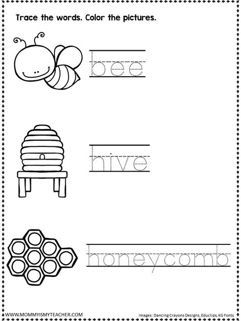 Bee Worksheet Preschool, Parts Of A Bee Preschool, Bee Worksheets Free Printable, Bee Worksheets For Kids, Learning About Bees Preschool, Bee Learning Activities For Kids, 1st Grade Bee Activity, Bee Worksheet, Bee Writing Activities