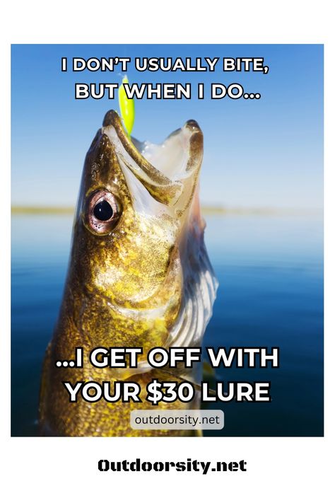 Finding a great fishing meme collection is like catching the perfect fish. With fishing puns and jokes, these pins offer a light-hearted break. Save these pins to share a laugh with your fishing pals. Great for those who appreciate fishing humor and are ready for some fun! Fishing Funny Humor, Fish Puns, Fishing Quotes, Fishing Humor, Puns, Some Fun, Funny Pictures, Funny Quotes, Funny Memes