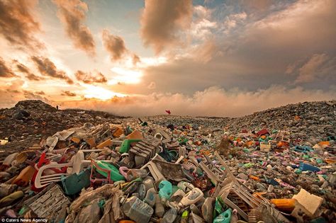 Miles of litter: Thilafushi is an artificial island in the Maldives where about 400 tonnes of rubbish is dumped every day تلوث المياه, Mind Blowing Images, Artificial Island, Sustainability Projects, Ocean Pollution, La Pollution, Environmental Pollution, Discovery Channel, Plastic Pollution