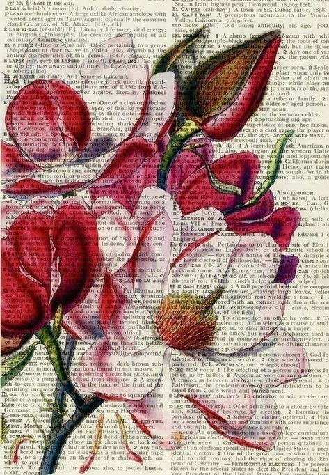 Flower Artwork, Old Book, Drawing Tutorials, Book Page, Altered Books, Pics Art, Drawing Tips, Pencil Art, 그림 그리기