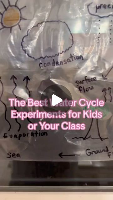 Sean Connolly on Instagram: "These are my favorite water cycle activities. Low prep, easy and engaging for students. Let me know what is your favorite! #watercycle #science #scienceexperiment #scienceactivity #scienceisfun #schoolhack #teacherhack #teachersfollowteachers #teachersofig #teachersofinstagram #teacherlife #classroom" 2nd Grade Experiments, Water Cycle Science Experiments, Teaching Water Cycle, Water Cycle Activity, Water Cycle Experiment, Water Cycle Activities, Water Cycle, What Is Your Favorite, Teacher Hacks