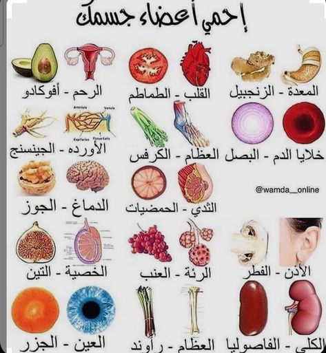 Health And Fitness Expo, Health Facts Fitness, Health Fitness Food, Health Facts Food, Health Fitness Nutrition, Health And Fitness Magazine, Beauty Care Routine, Facial Skin Care Routine, Arabic Language