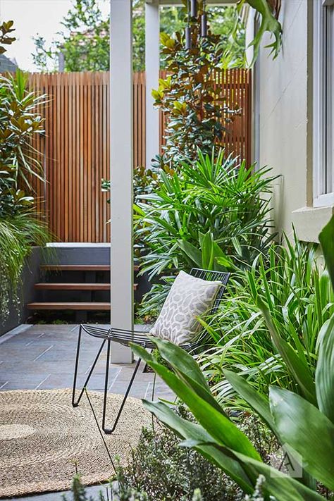 Stanmore landscape design project. Photography Natalie Hunfalvay. Brisbane Landscape Design, Tropical Screening Plants Australia, Minimal Tropical Garden, Geoffrey Bawa Landscape Gardens, Small Courtyard Gardens, Courtyard Gardens Design, Small Courtyards, Side Garden, Garden Photography