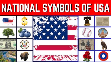 National Symbols of United States of America 🇺🇸 | #nationalsymbols #usa #unitedstates National Symbols, The United States Of America, One Dollar, States Of America, United States Of America, The United States, United States, The Unit