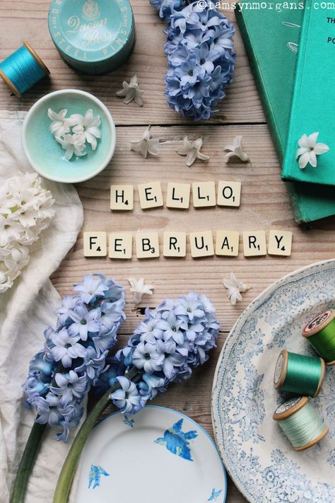 Hello February Aesthetic, Hello February Wallpaper, Hello February Quotes, Welcome February, February Quotes, Skiing Holiday, February Wallpaper, February Month, Hello February