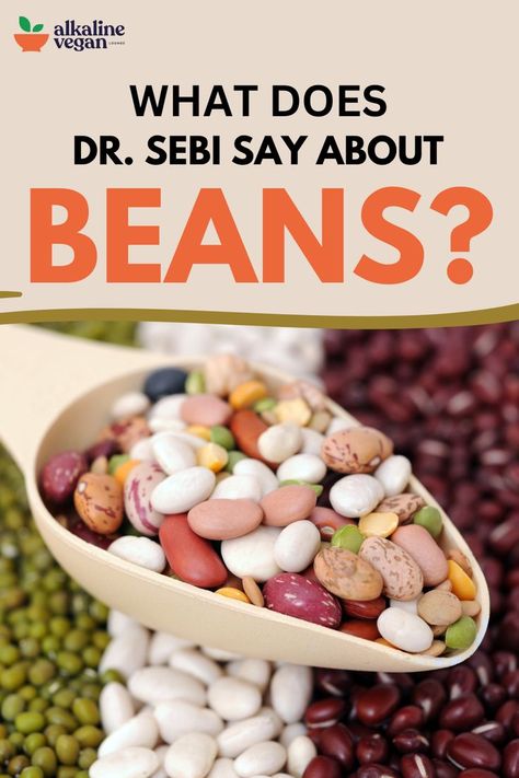 Beans Dr Sebi Nutritional Guide, Lentils Nutrition, Dr Sebi Herbs, Dr Sebi Diet, Dr Sebi Recipes Alkaline Diet, Beans Benefits, Dr Sebi Alkaline, Body Dr, Dr Sebi Alkaline Food