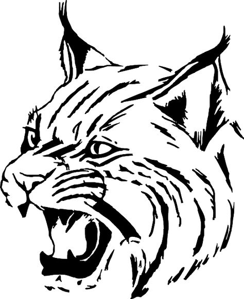 Free Image on Pixabay - Tiger, Wildcat, Cat, Head, Face Jungle Cat, Drawing Heads, Tiger Face, Image Icon, Svg For Cricut, Free Svg Cut Files, Lynx, Drawing For Kids, Free Svg