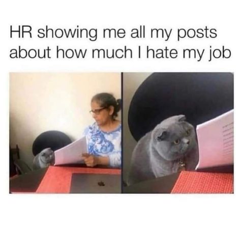 Hr Humor, Quitting My Job, Work Humour, Work Funnies, Job Humor, Workplace Humor, Work Funny, Nursing Humor, Work Jokes