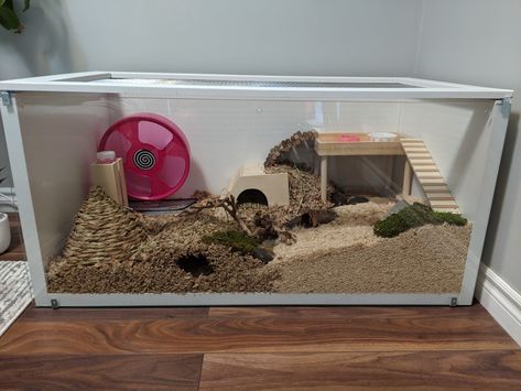 Ikea Hamster Hack, Ikea Hamster Cage Diy, Hamster Cages Diy, Cool Hamster Cages Diy, Ikea Hamster Cage, Hamster Cage Ideas Diy, Hamster Cage Ideas Diy Bin, Hamster Cage Diy Bin, Diy Hamster Cage