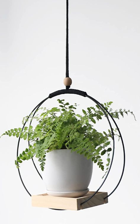 Hang Plants From Ceiling, Window Sill Plants, Modern Macrame Plant Hanger, Hanging Planters Outdoor, Succulent Hanging Planter, Kitchen Window Decor, Planter Plants, Metal Plant Hangers, Ceiling Window