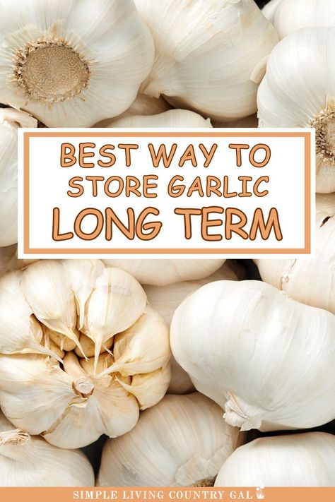 Learn how to store garlic efficiently with these easy tips! Discover the best ways to keep garlic fresh, avoid spoilage, and prevent common storage mistakes. This guide covers everything you need to know about garlic storage for long-lasting flavor. Perfect for home cooks and food preservation enthusiasts! How To Store Fresh Garlic Bulbs, How To Dry Garlic, How To Keep Garlic Fresh How To Store, Fresh Garlic Storage, How To Keep Garlic Fresh, How To Store Fresh Garlic, How To Store Garlic Cloves, How To Store Garlic Long Term, Garlic Storage Ideas