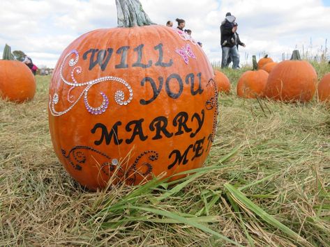 Outdoor Fall Proposal Ideas, Pumpkin Proposal Ideas, Autumn Proposal Ideas, Pumpkin Patch Proposal Ideas, Pumpkin Patch Proposal, Fall Engagement Ideas Proposal, Proposal Ideas Pumpkin Patch, Wedding Proposal Ideas Engagement, Proposal Videos