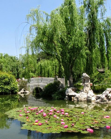 Dream Garden Fairytale, Huntington Library And Botanical Gardens, Botanical Garden Aesthetic, Italian Garden Design, Rich Garden, Vintage Decorating Ideas, Huntington Gardens, Princess Garden, Garden River