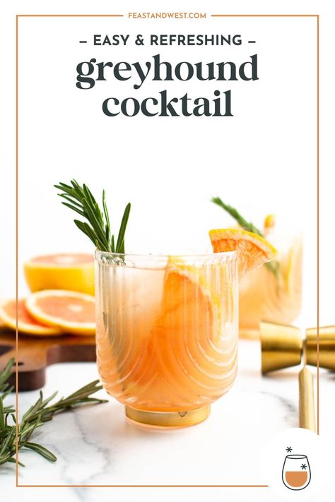 The Greyhound drink is a classic cocktail made with grapefruit juice and either vodka or gin. Make it with fresh juice for a brighter flavor. Greyhound Drink, Greyhound Cocktail, Grapefruit Drink, Craft Beer Recipes, Cocktail Vodka, Frozen Drink Recipes, Champagne Recipes Cocktails, Grapefruit Cocktail, Frozen Cocktail Recipes