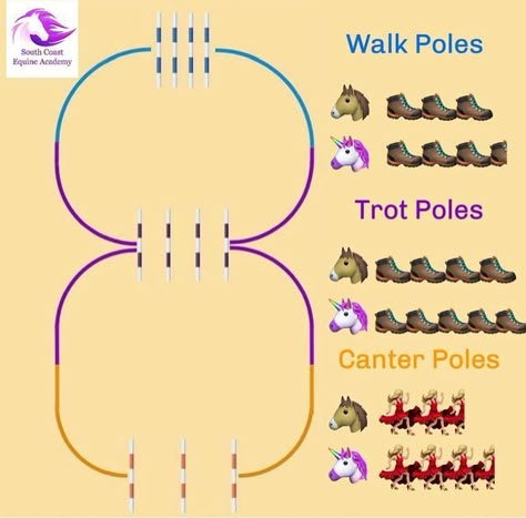 Horse Jumping Exercises, Riding Ideas, Jumping Exercises, Dressage Exercises, Horse Training Exercises, Riding Exercises, Horse Lessons, Dressage Training, Horse Exercises