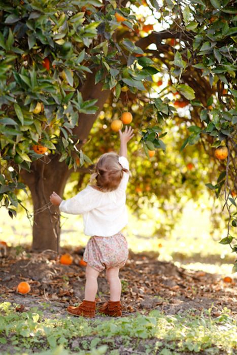 Orange grove Farm Ideas, Orange Tree, Shooting Photo, Fall Pictures, Fall Family, Fall Photos, Little People, Country Life, Farm Life