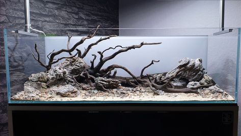 Spider Wood Aquascape, Amazon Aquascape, River Aquascape, Nature Tank, Aquarium Architecture, Fish Tank Themes, Fish Tank Terrarium, Diy Fish Tank, Aquascape Design