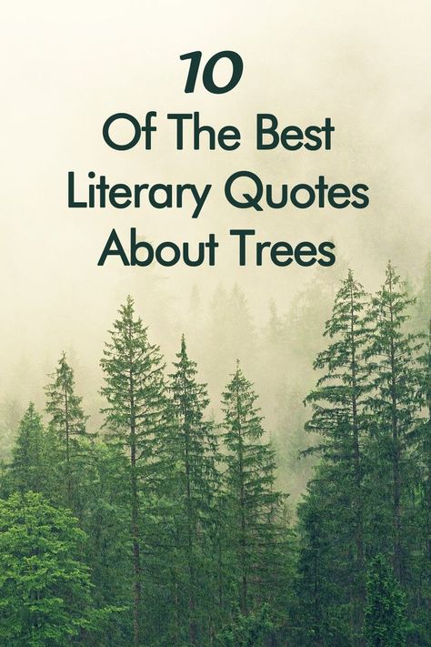 These 10 best literary quotes about trees pay homage to trees, forests, and acorns. Tree lovers and book lovers will find these best literary quotes about trees very in-tree-guing. #LiteraryQuotesAboutTrees #QuotesAboutTrees #Trees #Forests #QuotesAboutForests Quotes About Trees, Tree Of Life Quotes, Best Literary Quotes, Nature Quotes Trees, Forest Quotes, All About Books, About Trees, Tree Quotes, Tree Lover