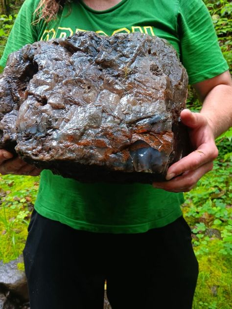 Man Discovers a Massive 60lb Agate on the Oregon Coast Raw Agate Rocks, Rockhounding Oregon, Silver Falls Oregon, Gem Hunting, Raw Gemstones Rocks, Rock Science, Rock Creations, Gem Hunt, Rock Identification