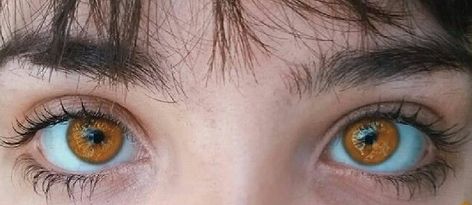 Pretty Eyes Color, Eye Study, Beautiful Eyes Color, Amber Eyes, Face Drawing Reference, Eye Photography, Face Reference, Aesthetic Eyes, Arte Inspo