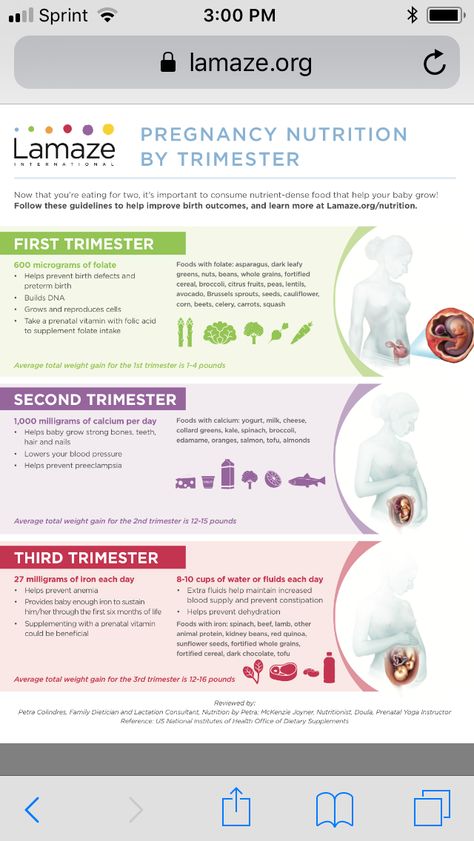 First Trimester Nutrition, Pregnancy Safe Foods, First Trimester Pregnancy Food, Pregnancy Food Plan, Pregnancy Food First Trimester, Pregnancy Cycle, Pregnancy Nutrition Plan, Pregnancy Diet Chart, Pregnancy Eating