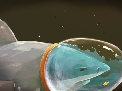 Shark Space, Space Shark, Team Space, Shark Bites, Marine Biology, In Space, Global Community, Creative Professional, Fish Pet