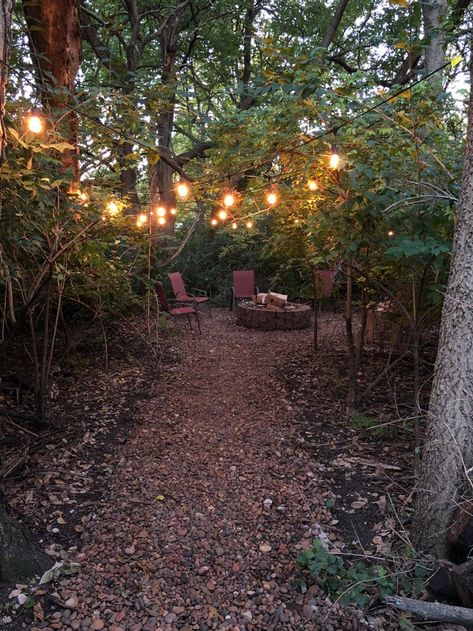 Overgrown Backyard, Mom Birthday Party, Overgrown Garden, Architecture Room, Grey Gardens, Woodland Garden, French Garden, Outside Ideas, Garden Backyard