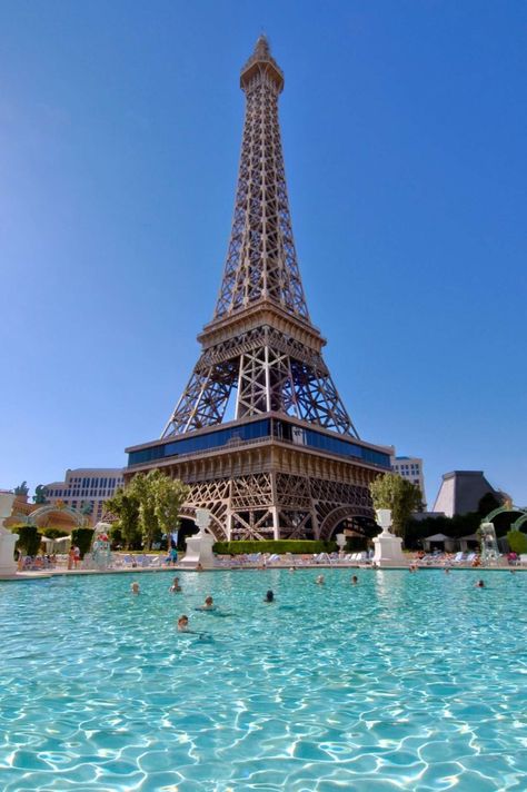 A fantastic view of the Eiffel Tower Las Vegas Aquarium, Vegas Venues, Best Pools In Vegas, Paris Hotel Las Vegas, Vegas Photoshoot, Awesome Pools, Vacay Spots, Birthday Getaway, Las Vegas Pool