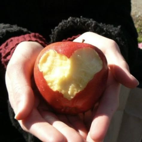 Rotten Apple, Apple Aesthetic, Diet Culture, Apple Bottoms, Apple Seeds, Red Apple, Apple Pie, Fruit, Kawaii