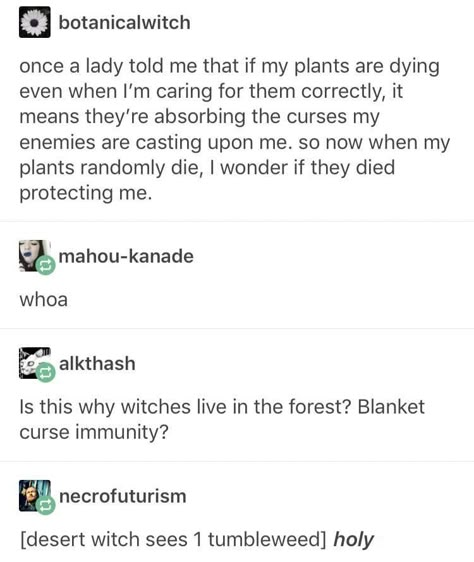 Ooh Witch Story Prompts, Witch Writing Prompts, Passing Out, Fantasy Plot Ideas, Curse Protection, Desert Witch, Witch Writing, Plot Ideas, Ivy Plant