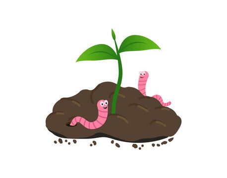 Anime Drawings For Beginners, English Projects, Plant Vector, Earthworms, Flat Style, Green Plants, Paint Designs, Transparent Png, Cartoon Drawings