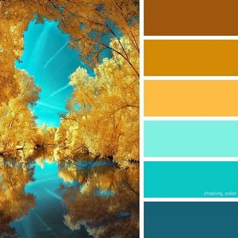 2020 Fall Decor Color Combinations and Where to Find Them by CountyRoad407.com #FallDecor #SeasonalDecorating #FallColors #FallDecorating #CountyRoad407 Autumn Color Combinations, Fall Color Combinations, Color Catalog, Color Schemes Colour Palettes, Palette Inspiration, Design Theme, Autumn Nature, Design Seeds, Color Palette Design