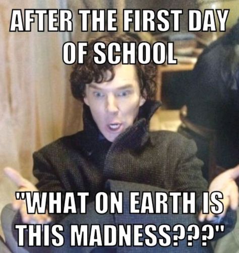 #meme#school#relatable#sherlock#benedictcumberbatch First Day At University, Visible Confusion, University Memes, Meme School, School Relatable, Benedict Cumberbatch, At School, First Day Of School, First Day