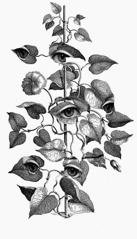 Occult Art, Arte Inspo, Art Et Illustration, Drawing Tutorials, A Drawing, An Eye, Surreal Art, 그림 그리기, Vintage Illustration