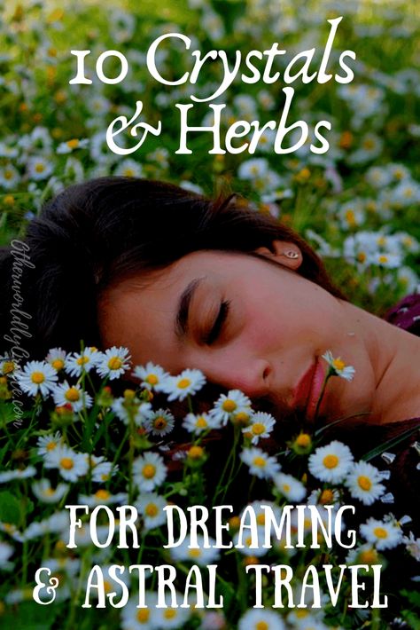 BEST Herbs and Crystals for Astral Projection, Prophetic Dreams, Dream Magic and More! Crystals And Herbs, Dream Herbs, Dream Spell, Prophetic Dreams, Magical Herbs, Out Of Body, Dream Symbols, Astral Projection, Herbal Magic