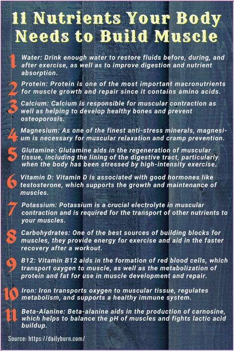 Muscle building involves both physical exercise and proper nutrition. And nourishing your body with a variety of nutrient-dense foods, especially protein and carbohydrates, is important to meet your muscle building needs. Here are 11 important vitamins, macronutrients, and amino acids for muscle growth and maintenance. #FitLife #HealthyLifestyle #SelfCare #HealthTips #NutritionTips #HealthyLiving #Wellness #FitnessTips Body Builder Diet, Calorie Cycling, Important Vitamins, Muscle Building Women, Muscle Diet, Muscle Building Foods, Muscle Building Diet, Increase Muscle Mass, Muscle Building Workouts