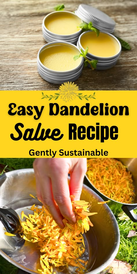 Dandelion is abundant in the springtime, why not make this easy and useful Dandelion Salve recipe?  With just a few ingredients, you can put those dandelions to good use right in your own kitchen! #dandelion #dandelionsalve #dandelionsalverecipe #dandelionuses @dandelionrecipes #foraging #herbalrecipes #herbalmedicine #herbalism #familyherbalism #naturalmedicine Clean Toe Nails, Toe Nail Fungal Infection, Nail Care At Home, Dandelion Salve, Nails Clear, Herbal Medicine Recipes, Herbal Remedies Recipes, Foraging Recipes, Salve Recipes