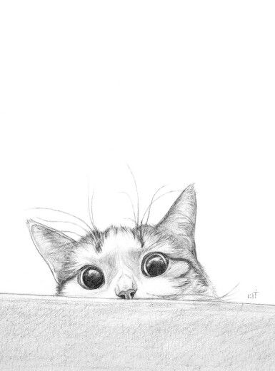 Cats Drawings Simple, فن الرسم بالمسامير, Cats Art Drawing, Seni Dan Kraf, Cat Sketch, Drawing Faces, Cat Coloring Page, Cat Eyes, Pencil Art Drawings