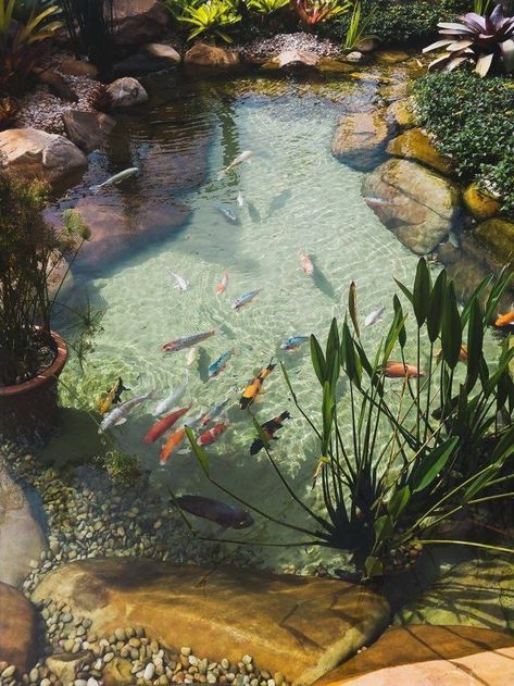 Pond Decorating Ideas Landscaping, Fish Pond In Garden, Natural Pond Ideas, Koi Pond Aesthetic, Pond In Backyard, Garden With Koi Pond, Garden Sleeve Tattoo, Backyard Koi Pond, Garden Koi Pond