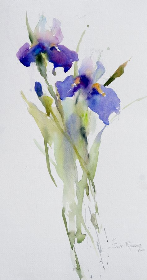 Janet Rogers irises Iris Painting, Watercolor Pictures, Watercolour Inspiration, Watercolor Flower Art, Watercolor Logo, Hur Man Målar, 수채화 그림, Watercolor Flowers Paintings, Watercolor Inspiration