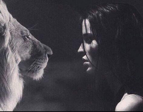 James Aesthetic, Rachel James, White Photo, Lion, Black And White, White, Black