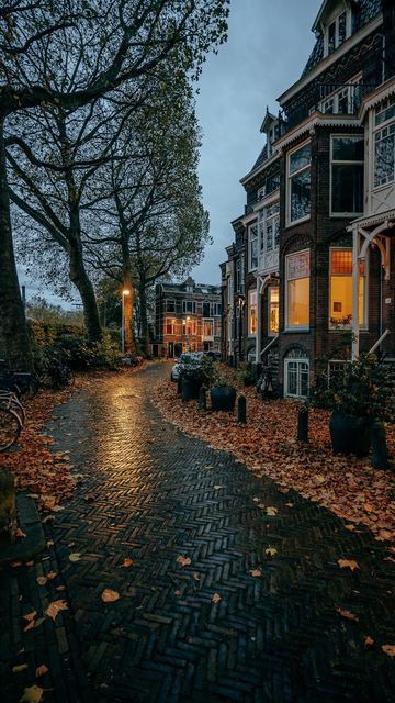 Street Scenes Photography, Little Town Aesthetic, City Street Aesthetic, Streets Aesthetic, Houses Aesthetic, Rainy Streets, Fall In The City, Cozy City, House Forest