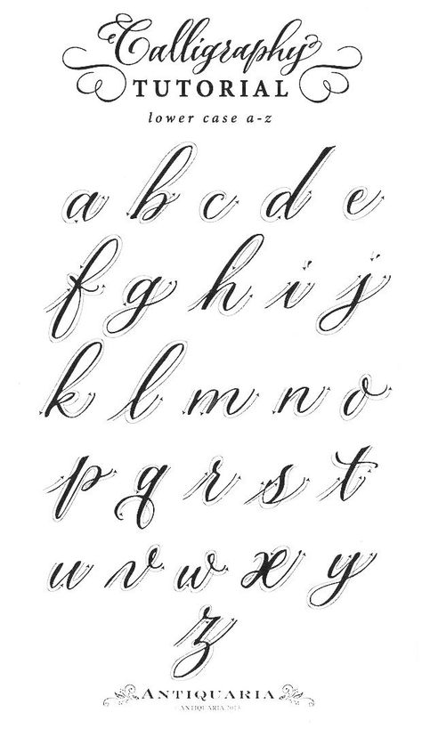 The Cursive Alphabet Is Shown In Black Ink And Has An Ornate Script  image and visual related images Coquette Alphabet, I Cursive, Cursive Z, Cursive P, Cursive Letters Font, Cursive Handwriting Fonts, Fancy Cursive Fonts, Cursive Fonts Alphabet, Cursive Letters Worksheet