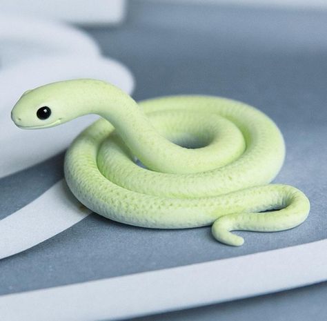 clay mini snake Pretty Snakes, Cute Reptiles, Cute Snake, Pet Snake, Tanah Liat, Clay Diy Projects, Polymer Clay Sculptures, Polymer Clay Animals, Cute Polymer Clay