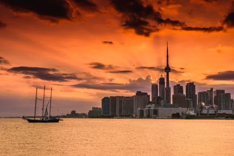 Iconic Toronto skyline view from Polson Pier New York State Parks, Toronto Skyline, Canada National Parks, Toronto City, Dawn And Dusk, Night Pictures, Skyline View, Night Photos, Concert Hall