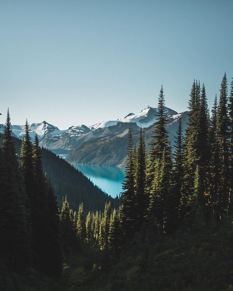 Panorama Ridge Vancouver, Whistler Aesthetic Summer, Whistler Aesthetic, Hike Photos, Whistler Canada Summer, Panorama Ridge, Canada Mountains, Cowgirl Life, Canada Summer